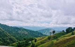 rice fields on the mountain above is sea of clouds